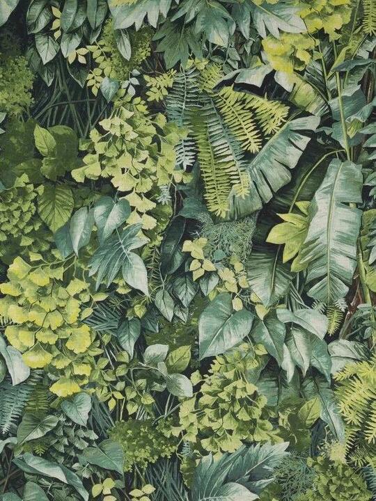 Mur vegetal Mur vegetal
