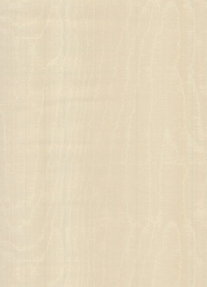 Mirage Illusion - 99000 Mirage Illusion - 99000