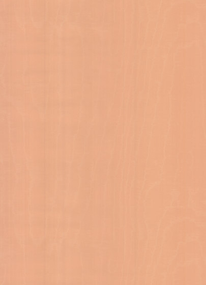 Mirage Illusion - 99008 Mirage Illusion - 99008