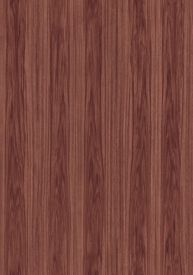 Ligna Roots - 42057 Ligna Roots - 42057