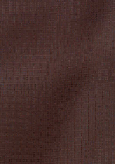 Pro 3 - 0294 Pro 3 - 0294