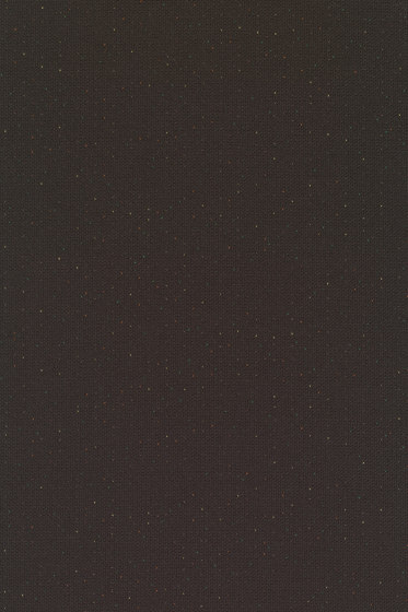 Ara - 0294 Ara - 0294