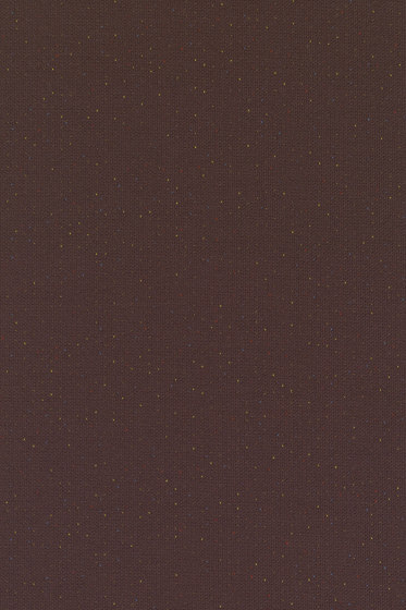 Ara - 0354 Ara - 0354