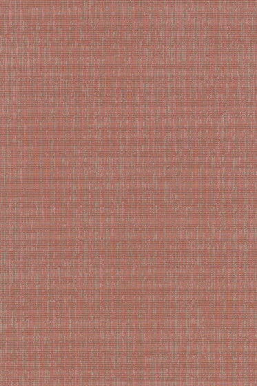 Atrium Outdoor - 0541 Atrium Outdoor - 0541