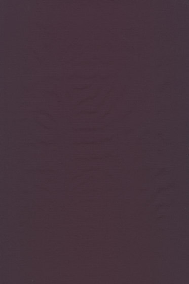 Blow - 0025 Blow - 0025