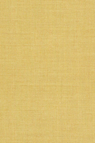Canvas 2 - 0446 Canvas 2 - 0446