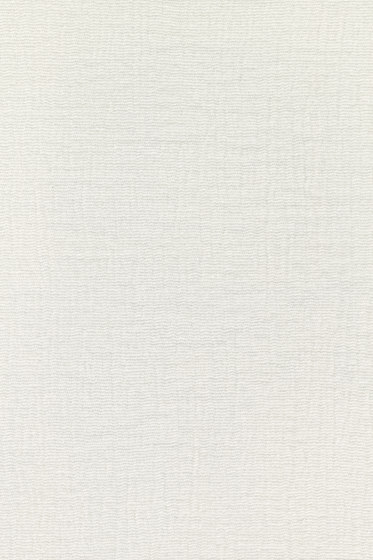 Cheno - 0001 Cheno - 0001