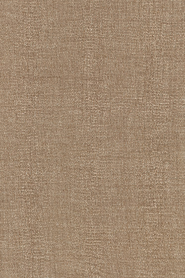 Cheno - 0020 Cheno - 0020