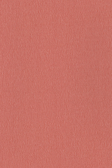 Dive - 0010 Dive - 0010