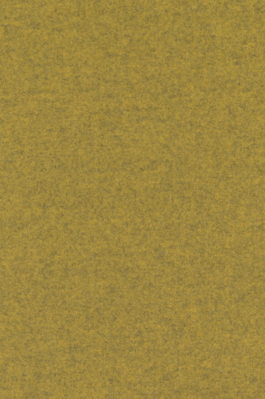 Divina Melange 3 - 0427 Divina Melange 3 - 0427