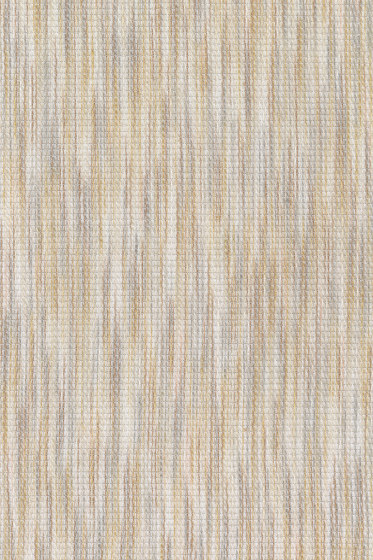 Domain - 0006 Domain - 0006