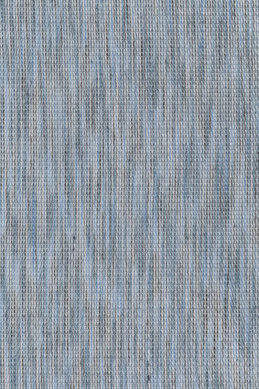 Domain - 0011 Domain - 0011