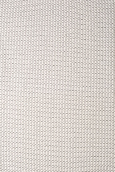 Drop - 0101 Drop - 0101