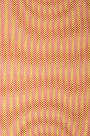 Drop - 0441 Drop - 0441