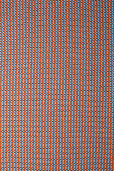 Drop - 0461 Drop - 0461