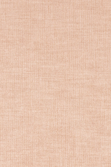 Maple - 0542 Maple - 0542