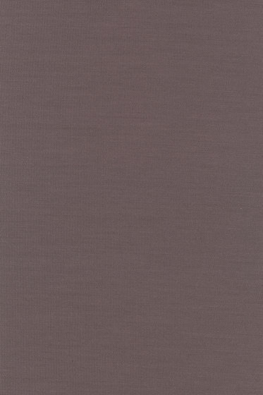 Planum - 0241 Planum - 0241