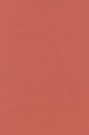 Planum - 0521 Planum - 0521
