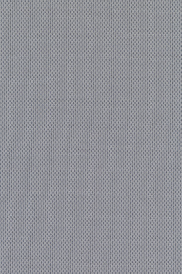 Plecto - 0114 Plecto - 0114