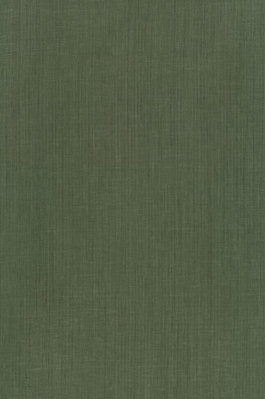 Raffia - 0014 Raffia - 0014