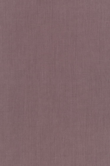 Raffia - 0015 Raffia - 0015