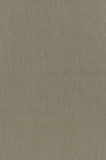 Raffia - 0024 Raffia - 0024