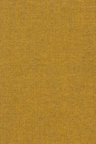 Re-wool - 0448 Re-wool - 0448