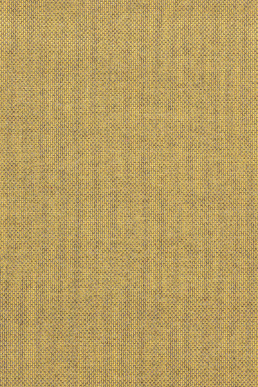 Re-wool - 0458 Re-wool - 0458