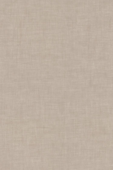 Sheer - 0016 Sheer - 0016