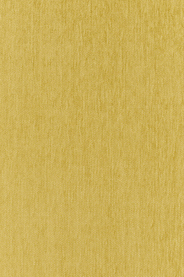Still - 0481 Still - 0481