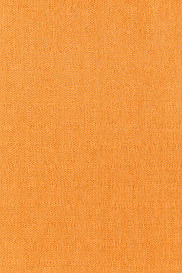 Still - 0561 Still - 0561