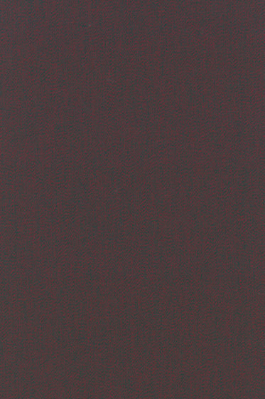 Tints - 0693 Tints - 0693