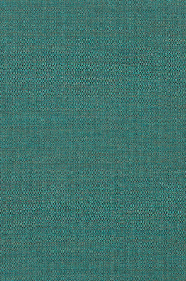 Foss - 0972 Foss - 0972