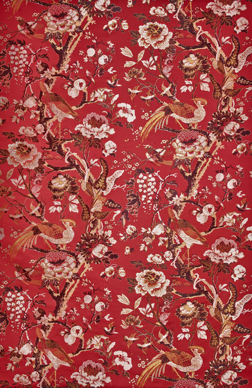 Silkbird Jacquard col. 003 Silkbird Jacquard col. 003