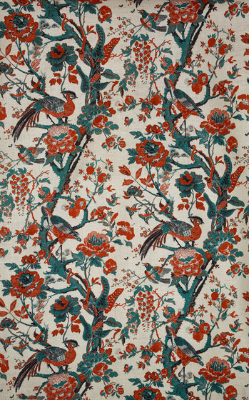 Silkbird col. 001 Silkbird col. 001