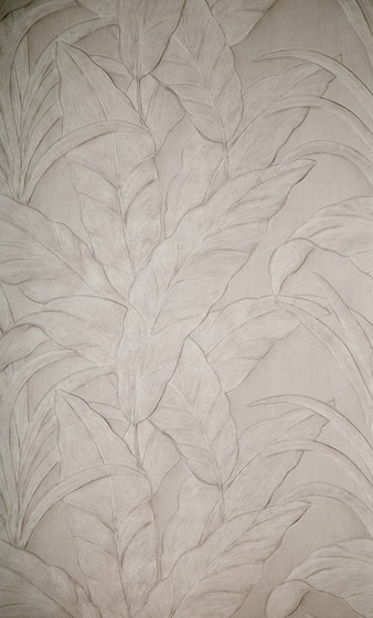 Monsoon Musa - 75002 Monsoon Musa - 75002