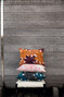 Bee flower | CO 211 38 04 Bee flower | CO 211 38 04