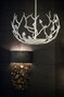 Blossom | Sm Blossom Chandelier - MCL18S-WHG-CLR-NS Blossom | Sm Blossom Chandelier - MCL18S-WHG-CLR-NS