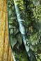 Mur vegetal Mur vegetal