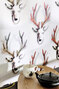 Wonderland | Rudolf RM 955 01 Wonderland | Rudolf RM 955 01