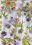 Roselia (Wandbekleding) Roselia (Wandbekleding)