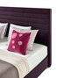 Ison Bed Ison Bed
