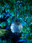 Big Bang Bathroom Lantern - B-MCL39-POL-BRZ Big Bang Bathroom Lantern - B-MCL39-POL-BRZ