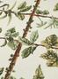 Espalier (Tapijt) Espalier (Tapijt)
