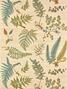 Botanique (Wandbekleding) Botanique (Wandbekleding)