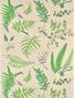 Botanique (Wandbekleding) Botanique (Wandbekleding)