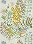Coeurs de marie (Wandbekleding) Coeurs de marie (Wandbekleding)