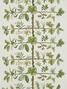 Wallpaper espalier Wallpaper espalier