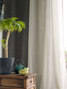 Trace 895 Trace 895
