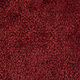 Bellezza | Dans Venise la rouge | LR 349 33 Bellezza | Dans Venise la rouge | LR 349 33